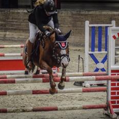 DSP Hedemand's kiare