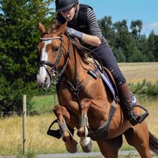 DSP Hedemand's kiare