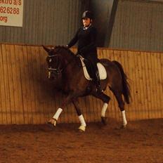 Anden særlig race Spirit