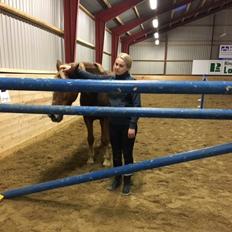 Anden særlig race Holly
