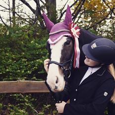 Hollandsk Varmblod Zarona R.I.P 