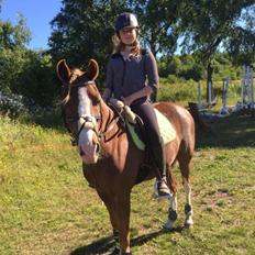 Anden særlig race Kastaniebakkens Garonjo 