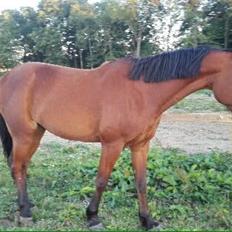 Traver Jovial Millpond