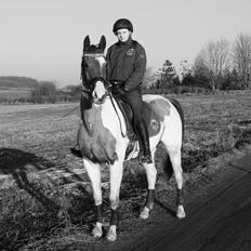 Pinto Rts-elegance india