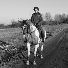 Pinto Rts-elegance india