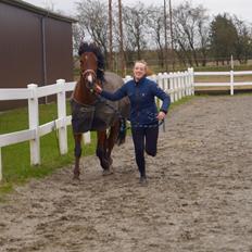 Anden særlig race Brilliant Sky