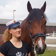 Anden særlig race Brilliant Sky