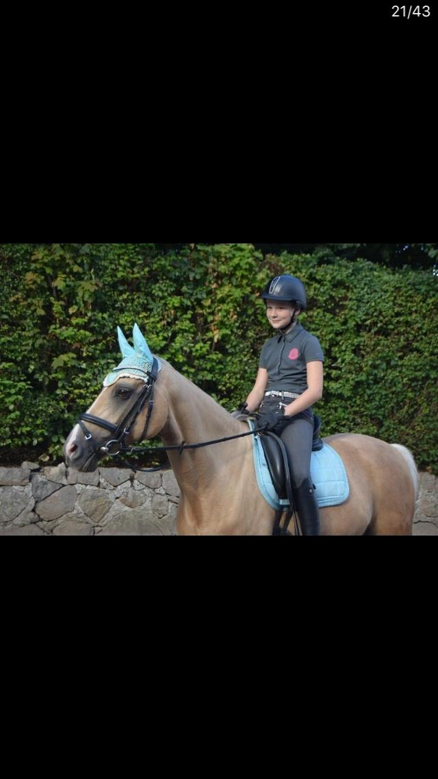 Tysk Sportspony Remember The Time S billede 6