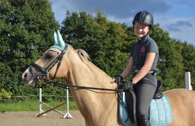 Tysk Sportspony Remember The Time S billede 7