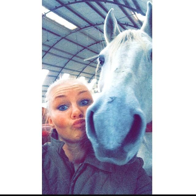 Shagya Araber (SH) Lærkevangens Cheval billede 7