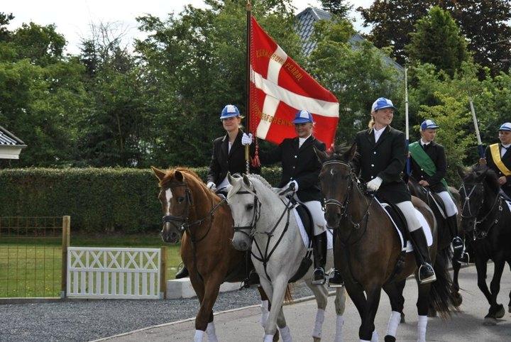 Shagya Araber (SH) Lærkevangens Cheval billede 9