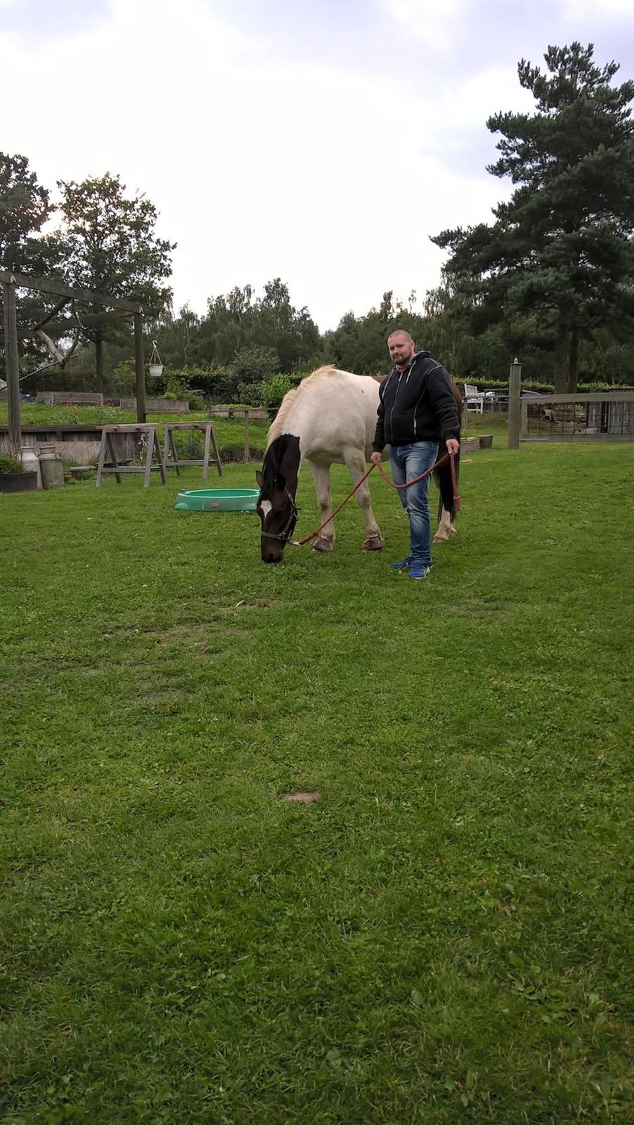 Anden særlig race Sofus  billede 7