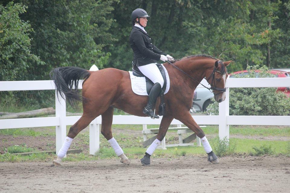 Dansk Varmblod Landanos billede 12