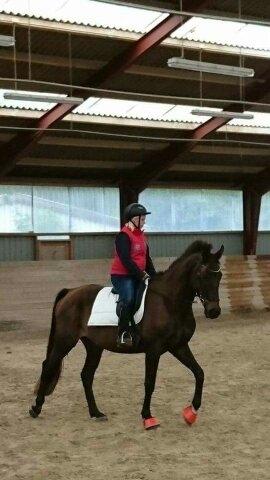 Oldenborg Akeem <3 billede 4