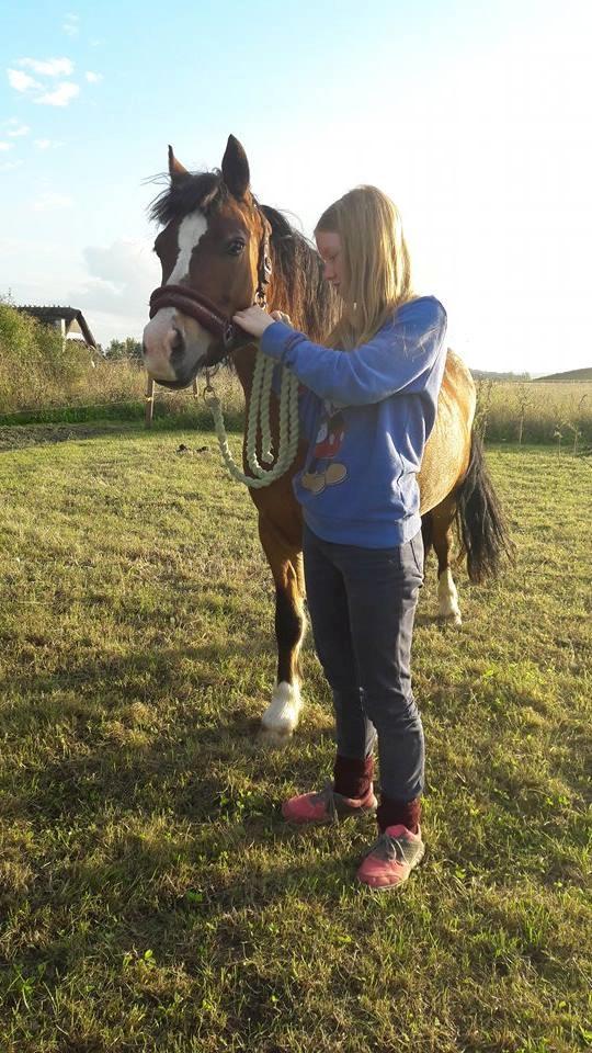 Anden særlig race Midas dyrekjær billede 2