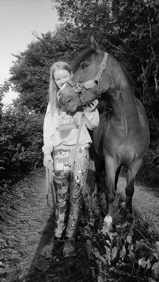 Anden særlig race Midas dyrekjær billede 8