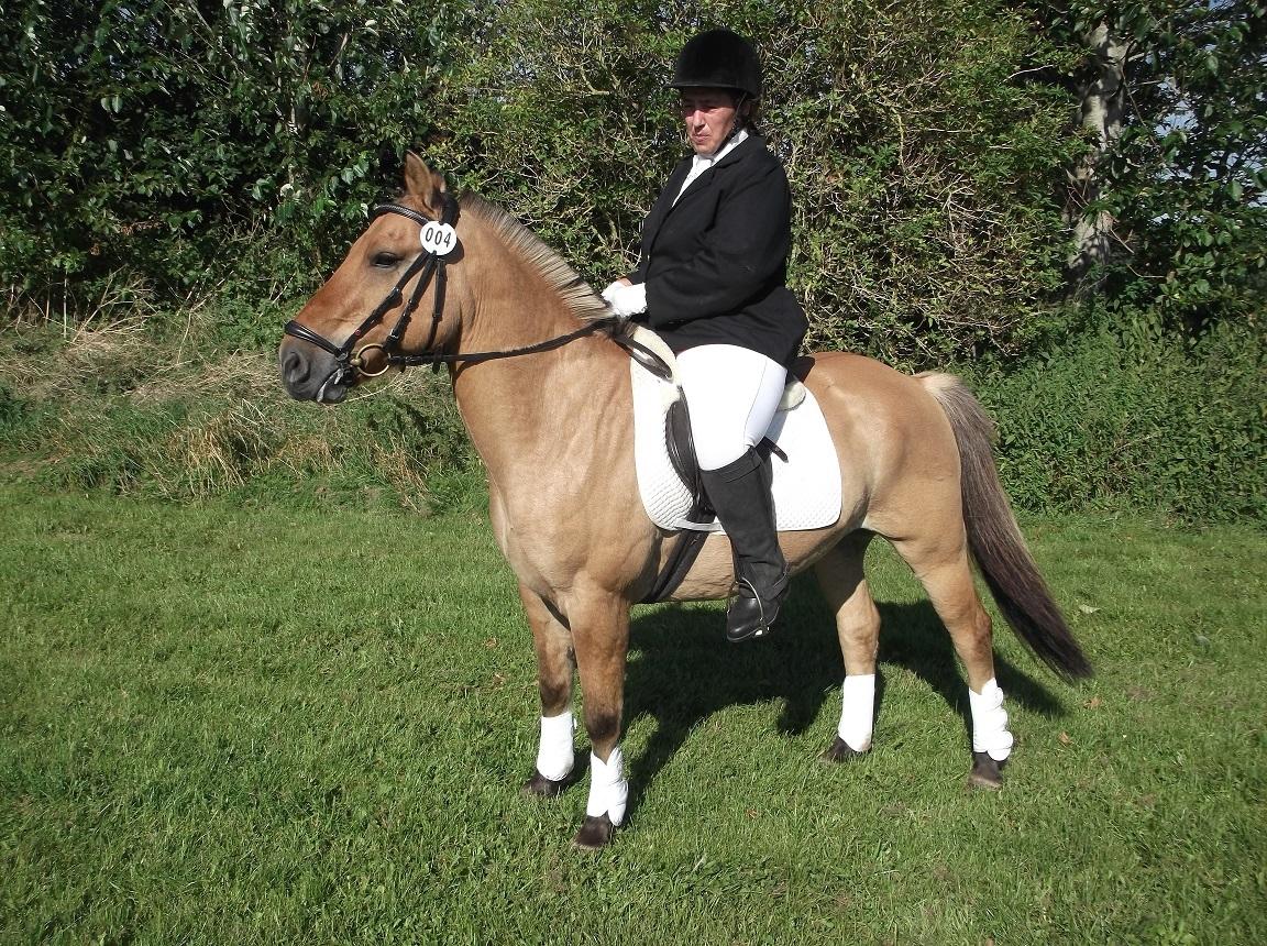 Anden særlig race Rasmus billede 14