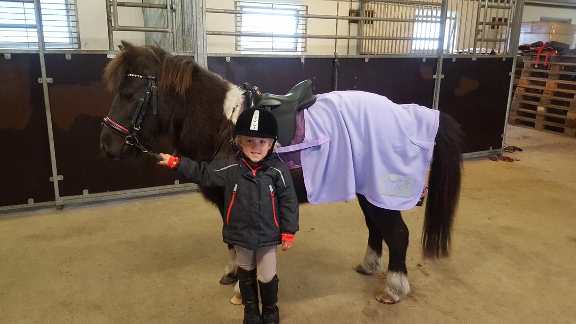 Anden særlig race Filuca  billede 9