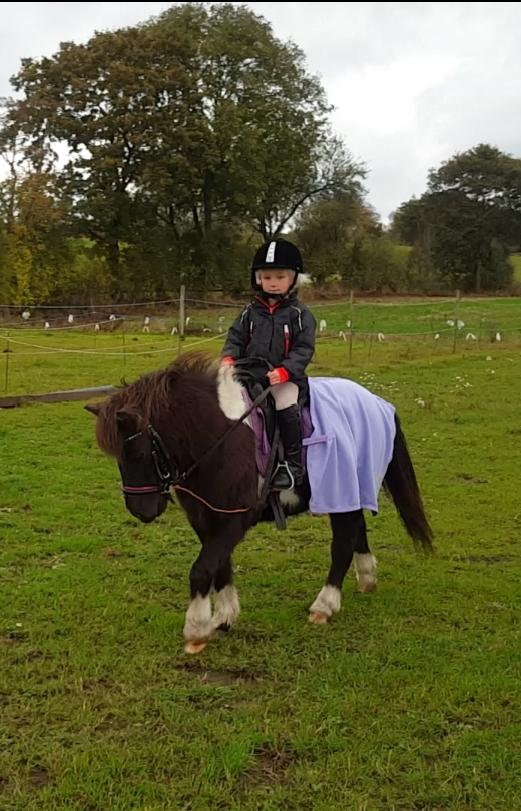 Anden særlig race Filuca  billede 14