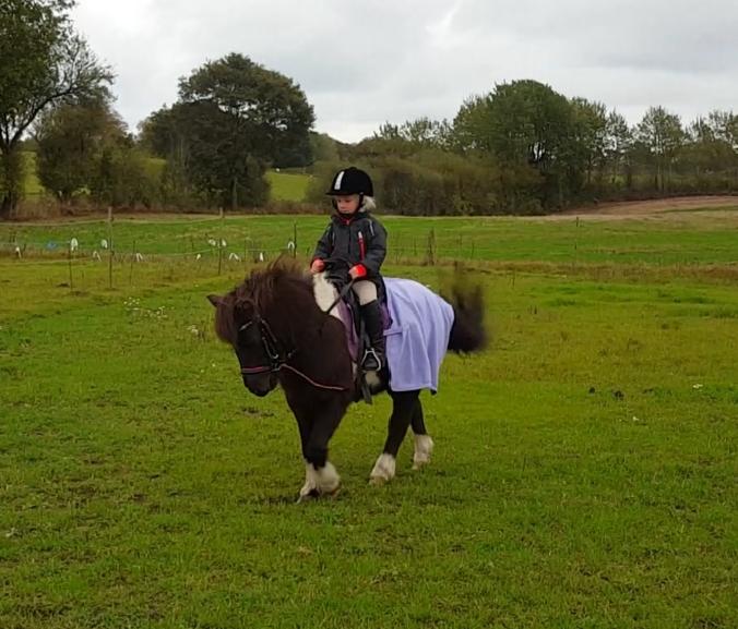 Anden særlig race Filuca  billede 15