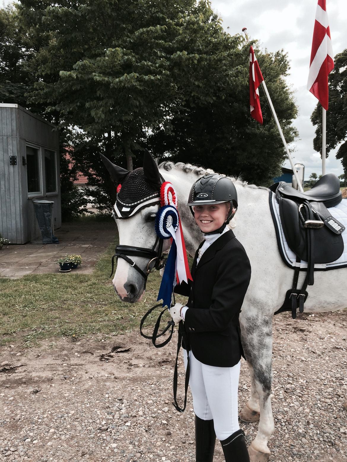 Svensk Sportspony  Uriah Heep A pony billede 14