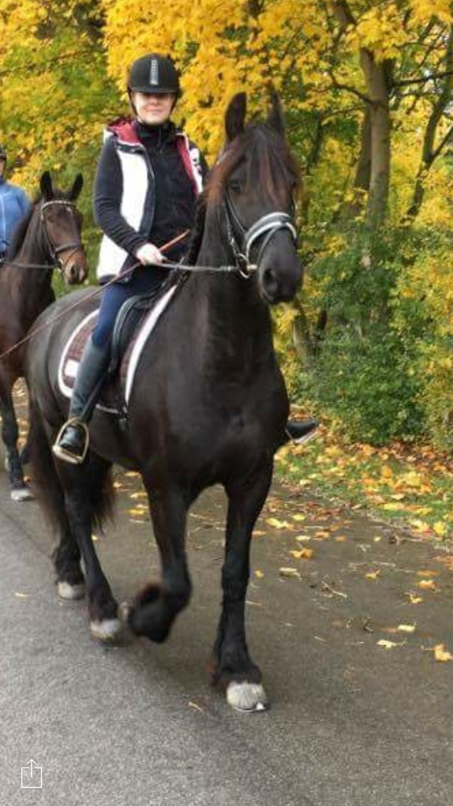 Frieser Barik billede 29