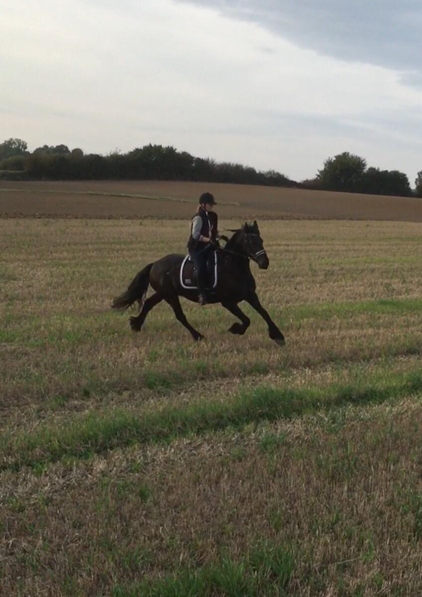 Frieser Barik billede 30