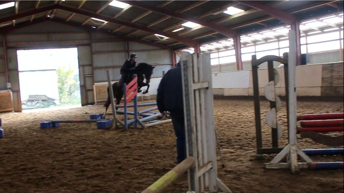 DSP Starhorse Fadooma billede 13