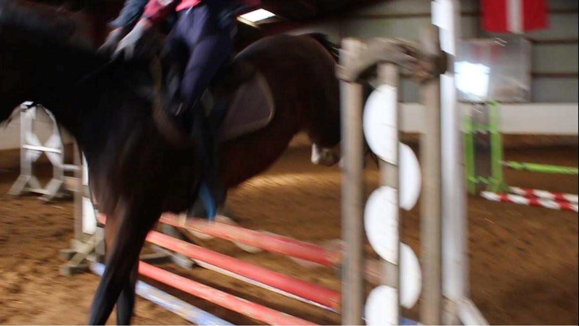 DSP Starhorse Fadooma billede 14