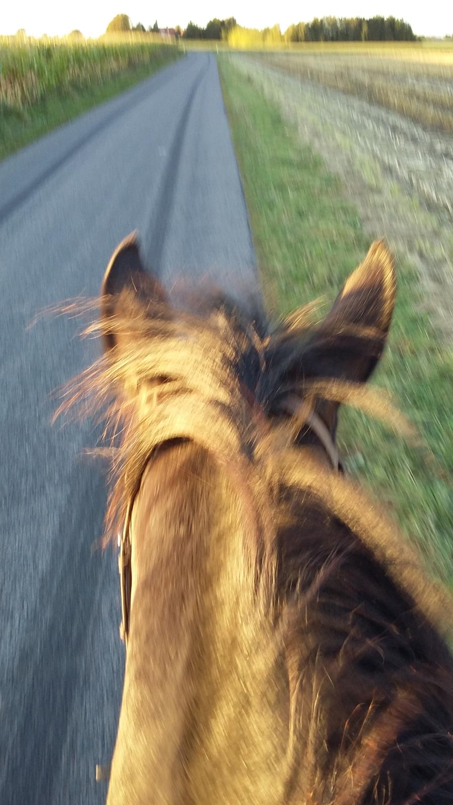 Oldenborg Benjamin billede 3