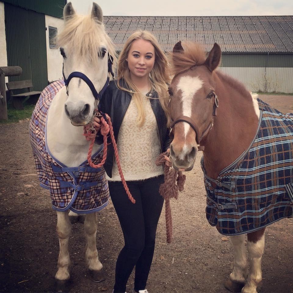 Anden særlig race Kikko billede 12