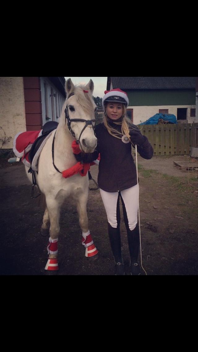 Anden særlig race Kikko billede 1