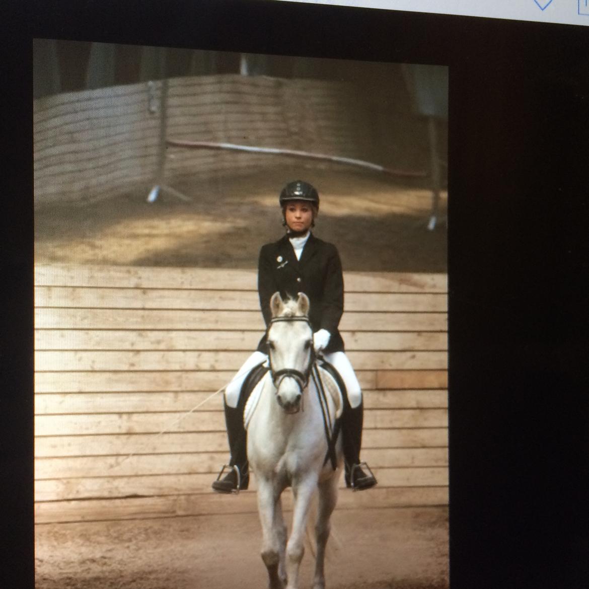 Anden særlig race Kikko billede 15