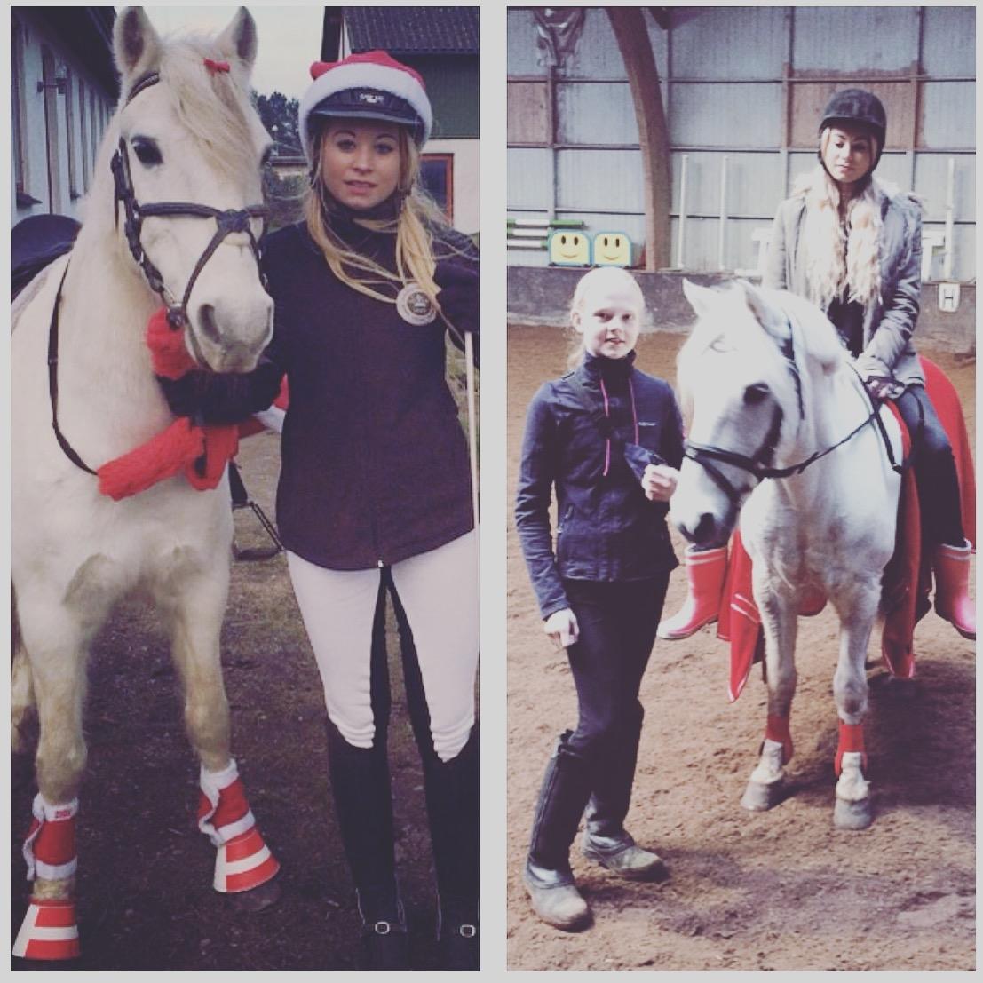 Anden særlig race Kikko billede 19