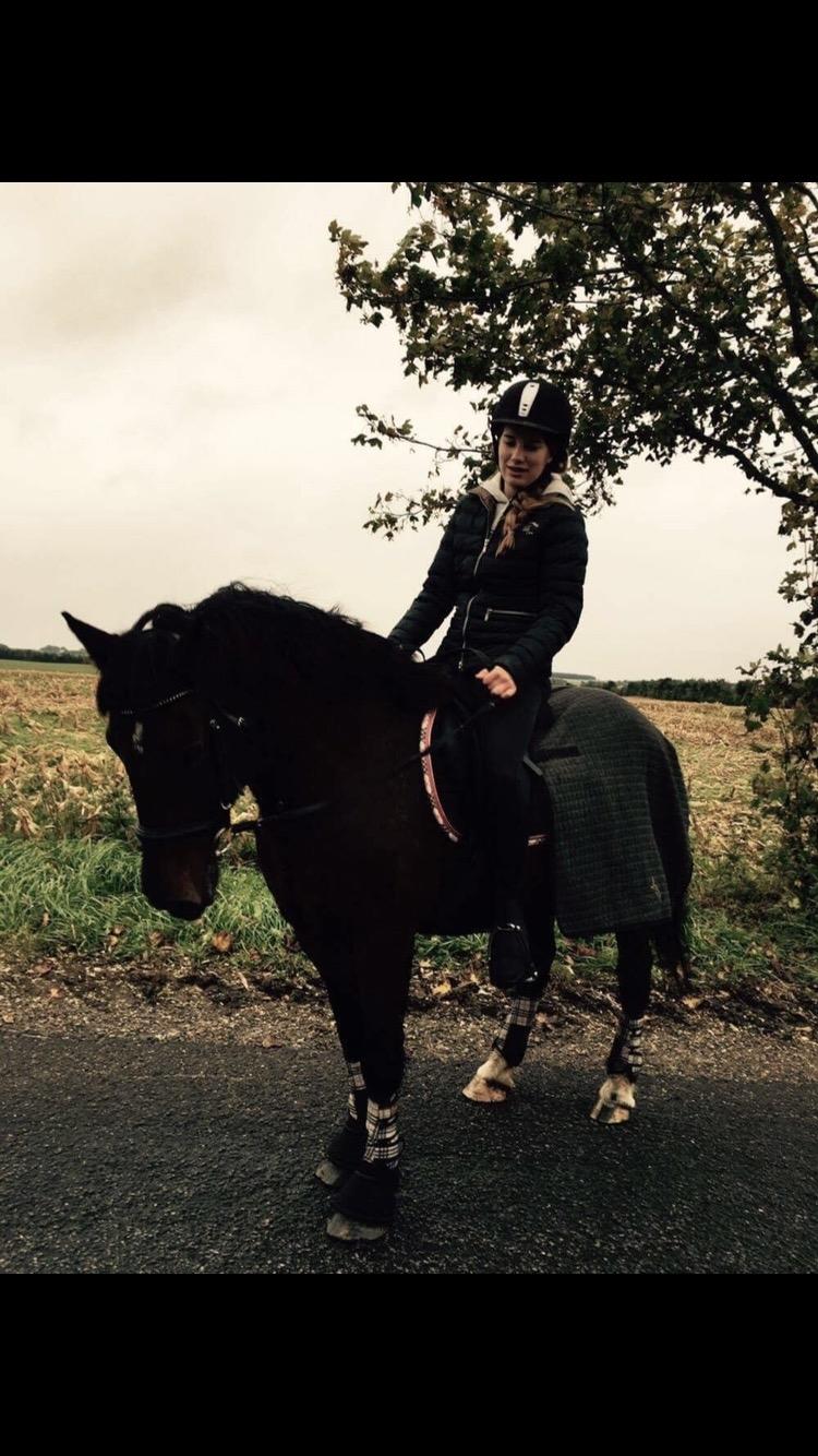 Anden særlig race Malom Brandy (Tidl. hest - Himmel hest) billede 12