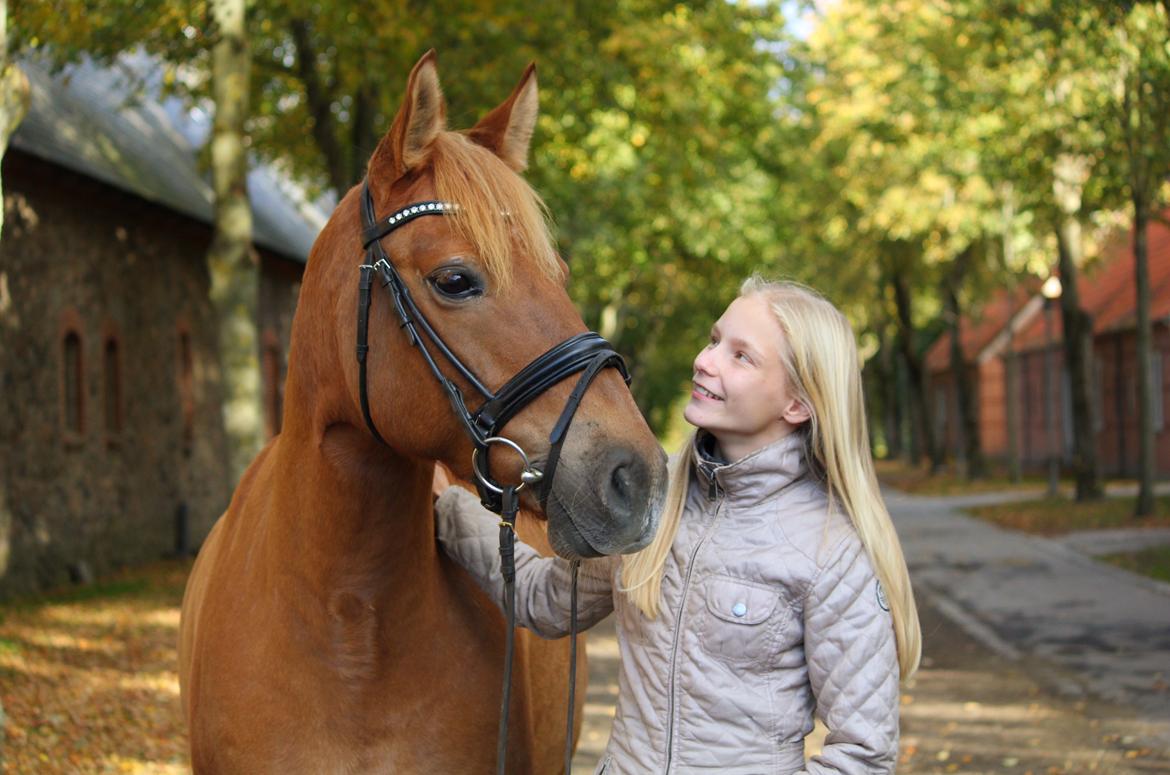 Anden særlig race Armani - <3 billede 8