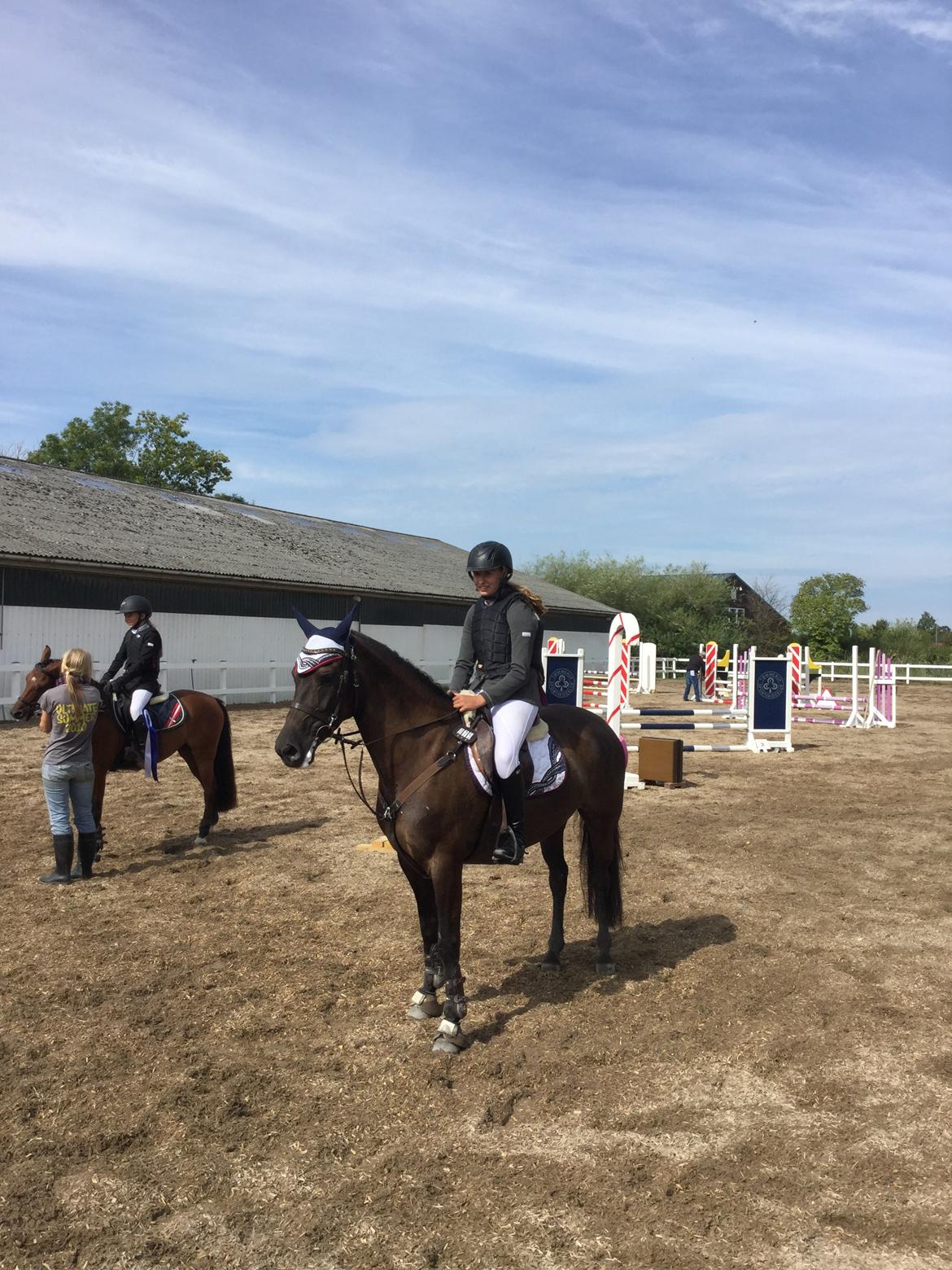 Anden særlig race Kamira billede 6