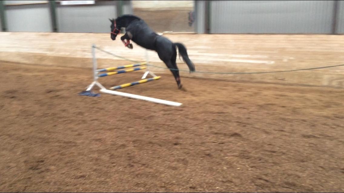 Oldenborg Maggie Tisted - April 2017 billede 23