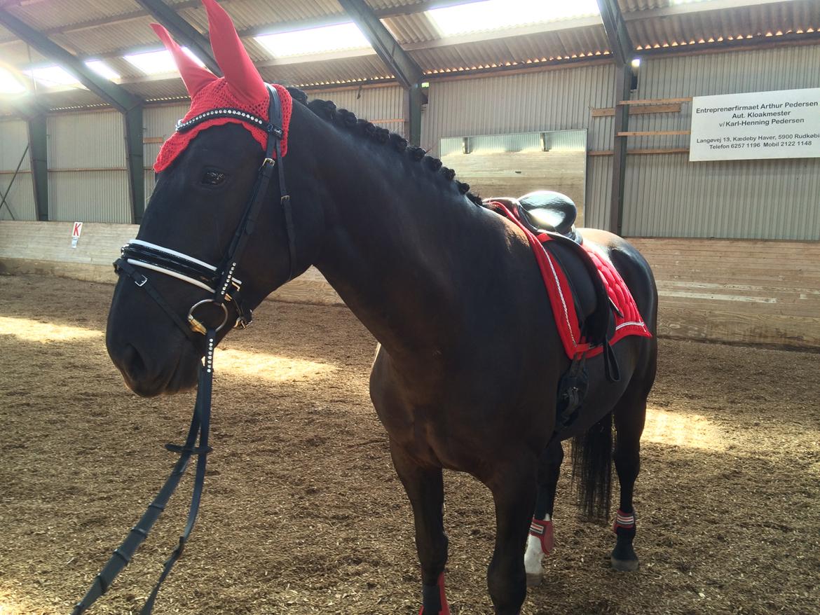 Oldenborg Maggie Tisted - Obtober 2016 billede 37