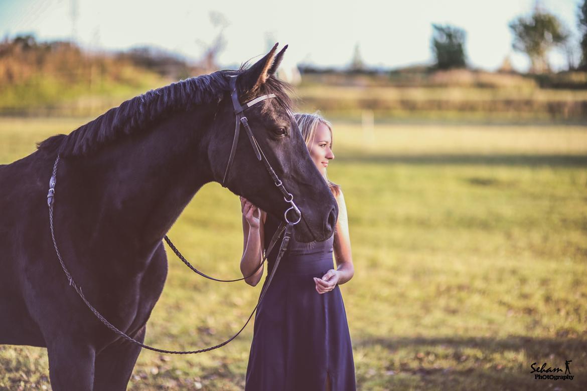 Oldenborg Darling horsmark -  Foto af Sehamphotography - Oktober 2016 billede 5