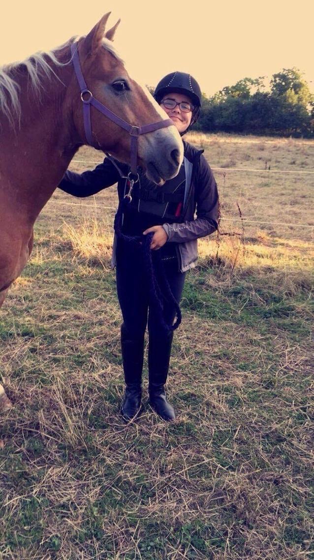 Haflinger Heraus  billede 9