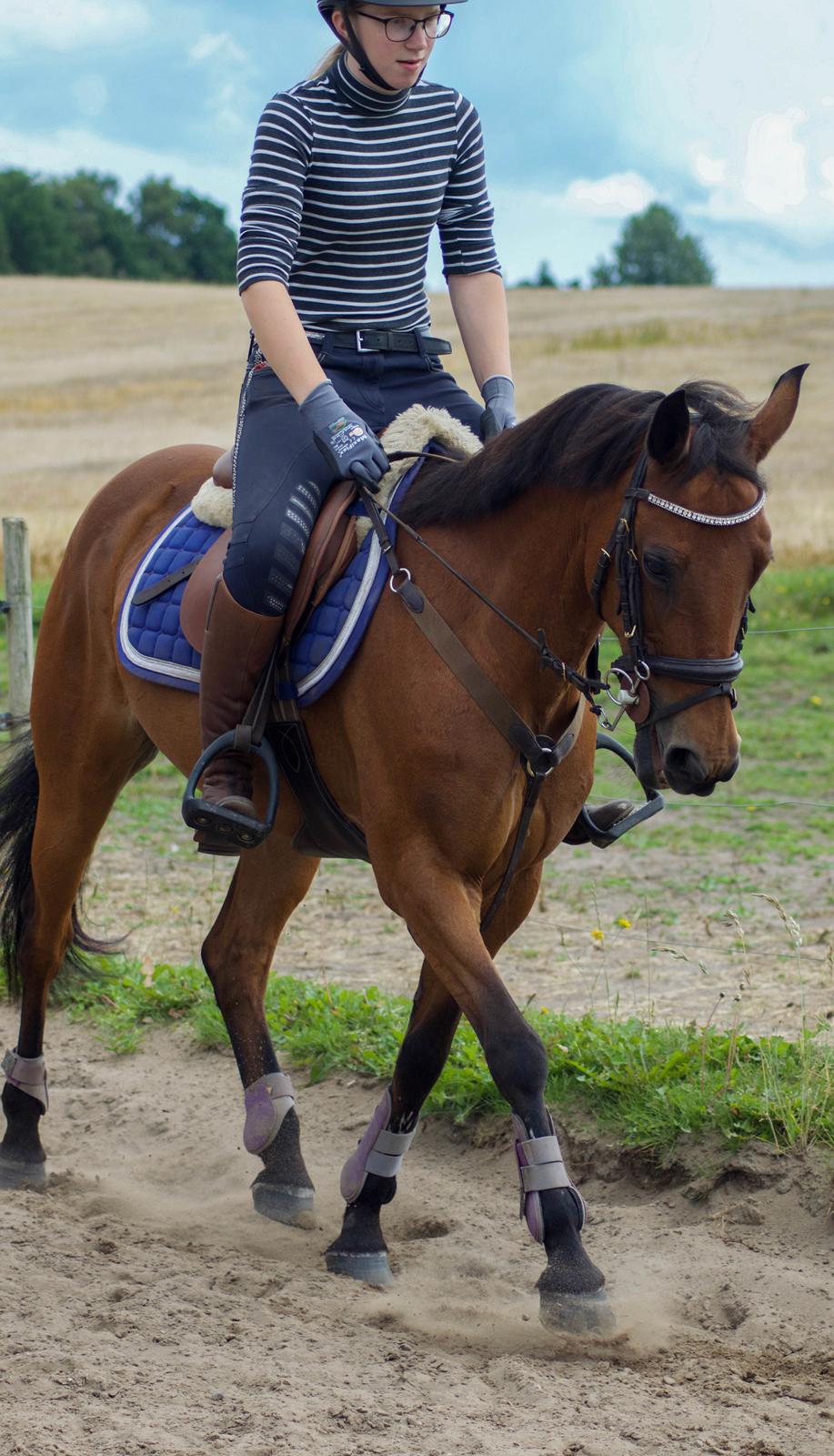 Anden særlig race Nørremarks Dunja billede 9