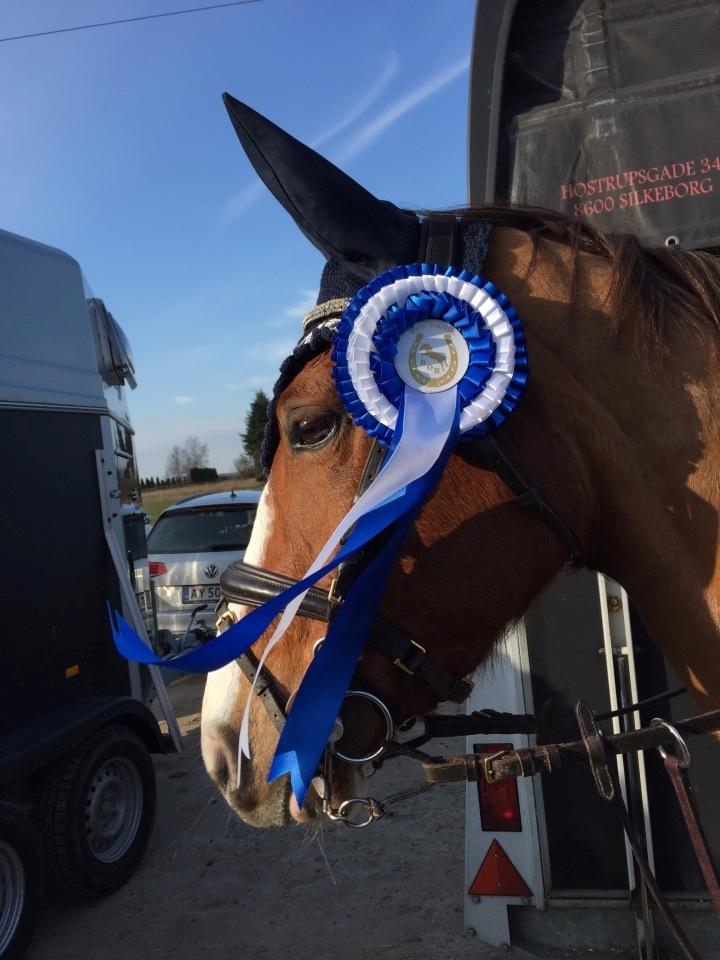 DSP Hedemand's kiare billede 2