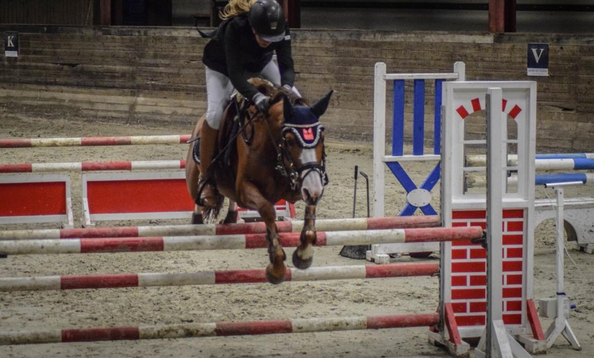 DSP Hedemand's kiare billede 3