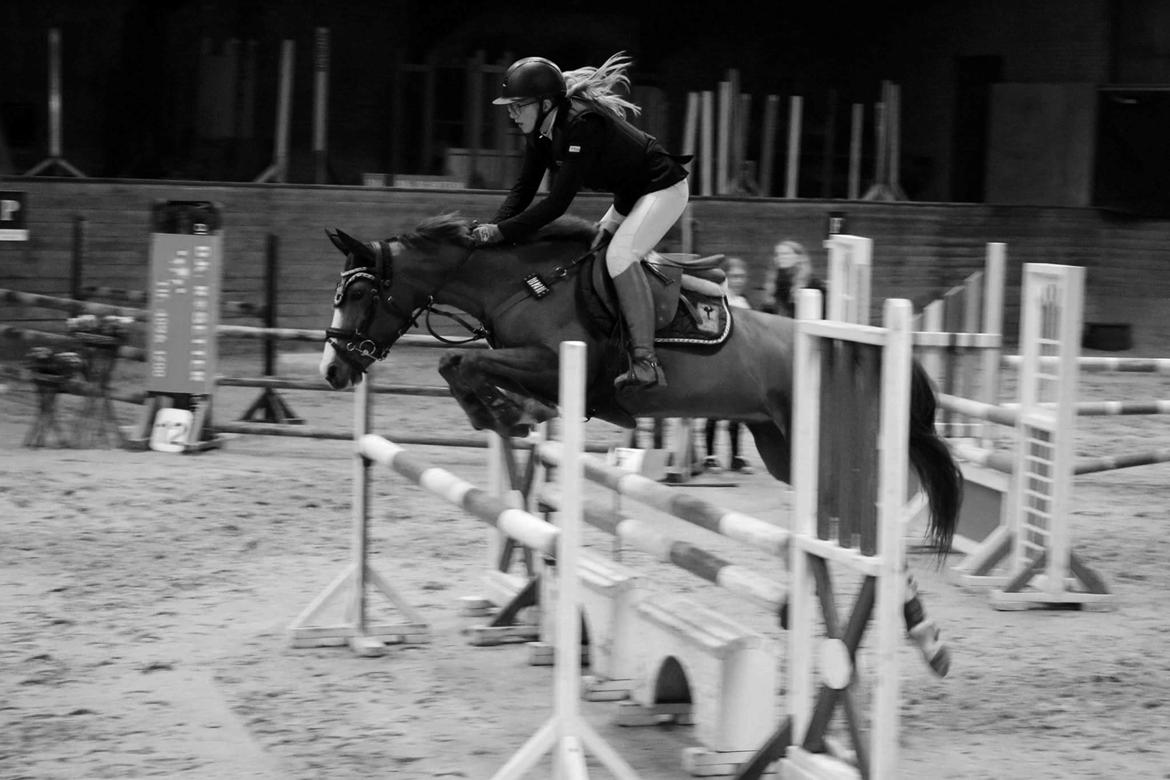 DSP Hedemand's kiare billede 5