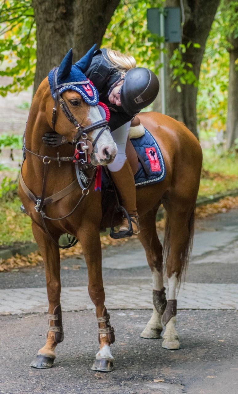 DSP Hedemand's kiare billede 6