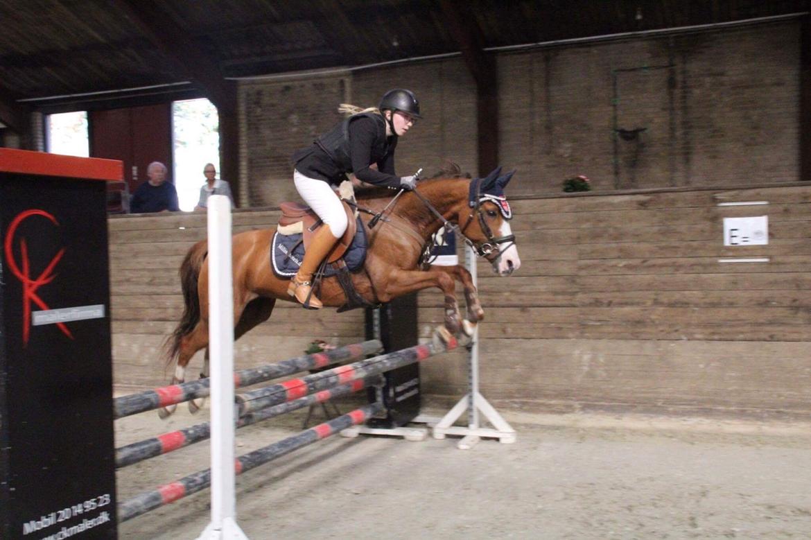 DSP Hedemand's kiare billede 8