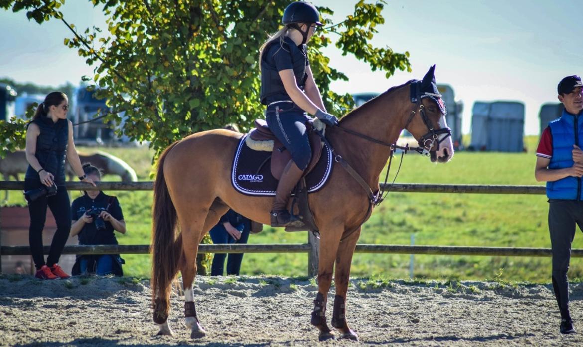 DSP Hedemand's kiare billede 9