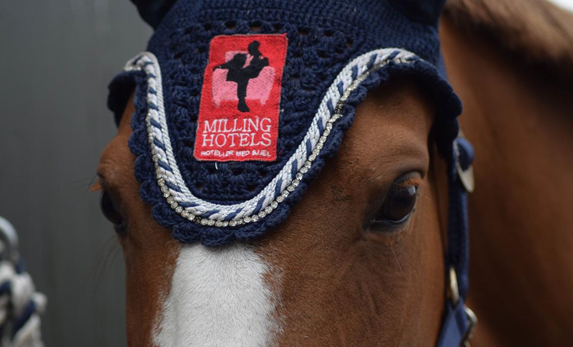 DSP Hedemand's kiare billede 10