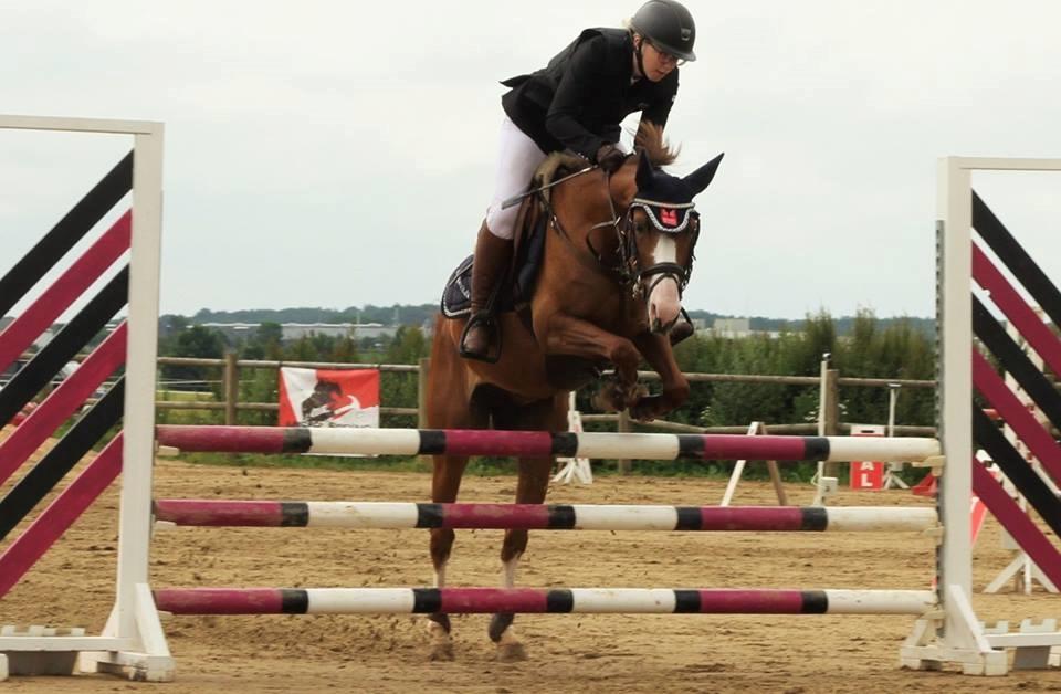 DSP Hedemand's kiare billede 11